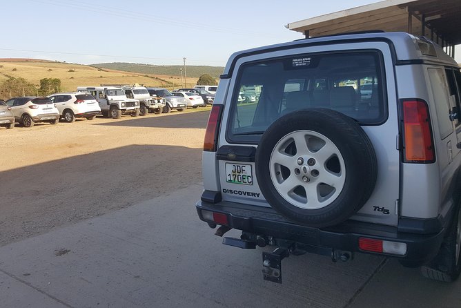 Schotia Open Vehicle Safari Game Drive - Inclusions and Accessibility