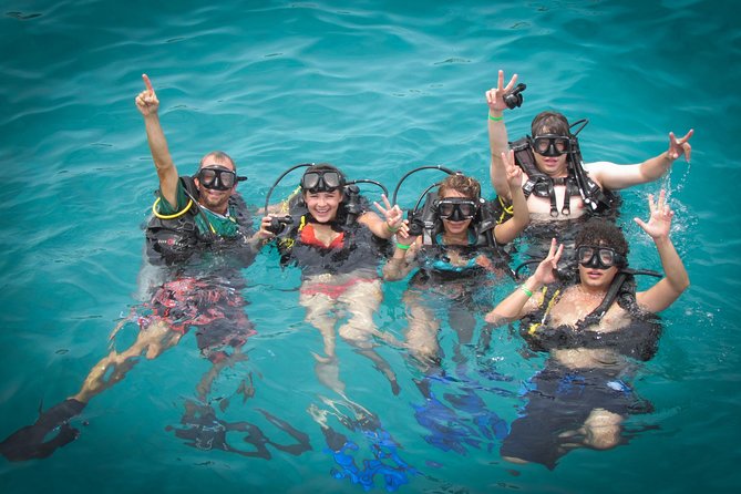 Scuba Diving - Scuba Equipment and Amenities Provided