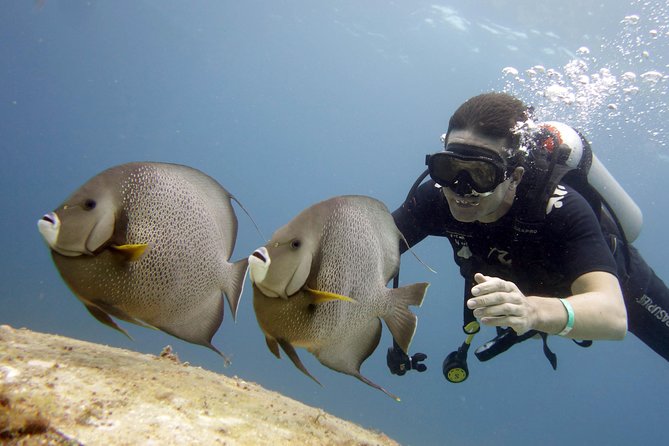 Scuba Diving at MUSA the Underwater Museum for Certified Divers - Participant Requirements and Restrictions