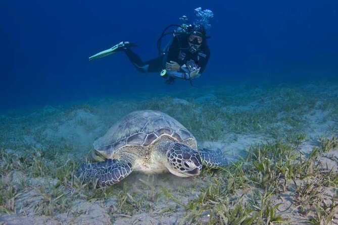 Scuba Diving in Fujairah With Private Transfers - Age and Health Considerations