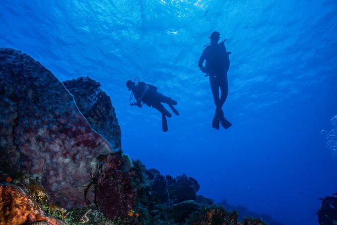 Scuba Diving Tours - Schedule and Requirements