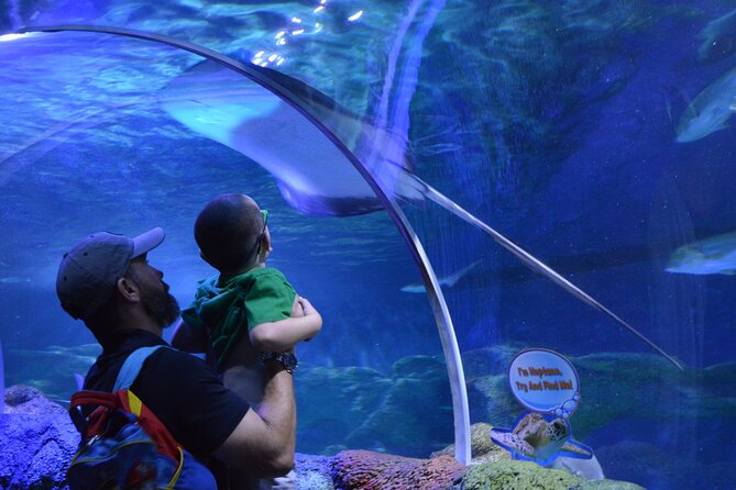 Sea Life Charlotte Concord Aquarium Admission Ticket - Underwater Ocean Tunnel Experience