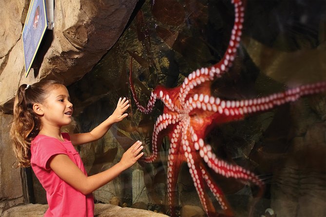 SEA LIFE San Antonio Admission Ticket - Customer Reviews and Ratings