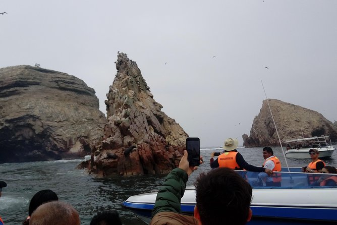 Sea Lions !!! Experience in the Ocean - Private Guides Stories