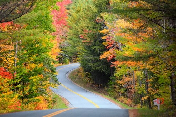 Self-Guided Audio Driving Tour Review - User Experience Highlights