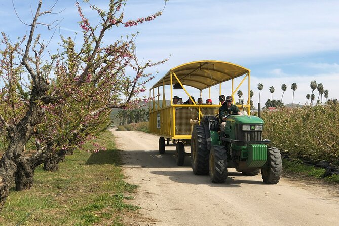 Self-Guided Bakersfield Scavenger Hunt: Resilient Bakersfield - Roles and Responsibilities