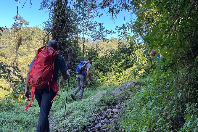 Self-Guided Walk in the Iral Cloud Forest Trails - Preparing for the Experience