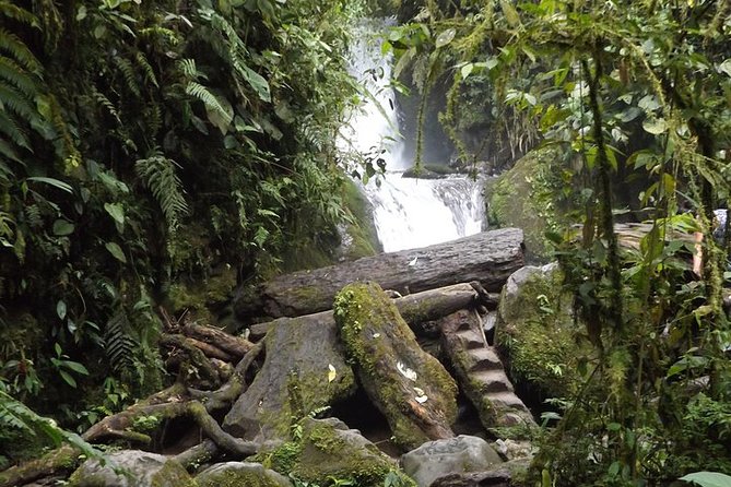 Semi-Private Tour: Mindo Full-Day Tour - Participant Reviews