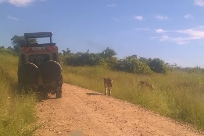 Serengeti N. Park_ Lake Manyara and Tarangire National Park - Discovering the Serengeti Ecosystem