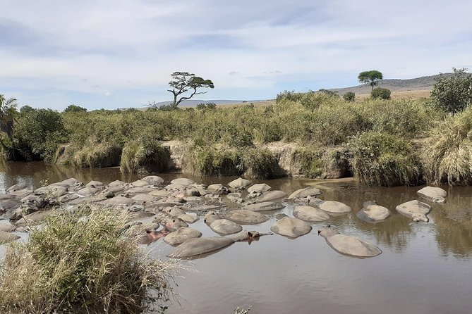 SERENGETI NATIONAL PARK Tour - Traveler Reviews and Ratings