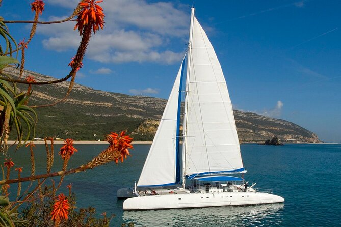 Setúbal Private Tour - Including Dolphin Watching - Meeting and Pickup Information