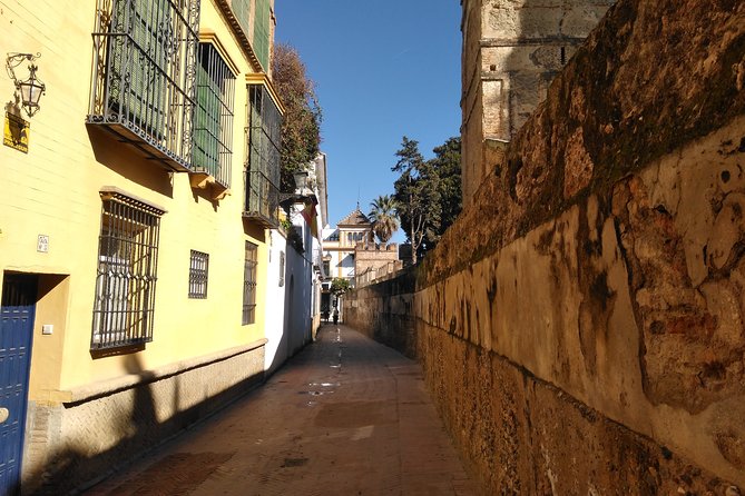 Seville: Walk Through the Heart of the City Review - Meeting Point and End Point