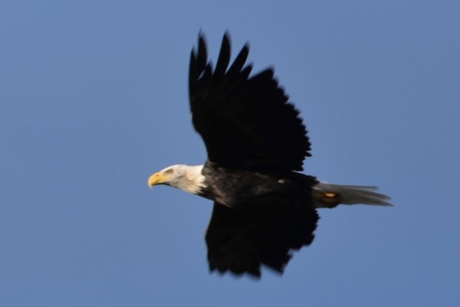 Seward to Anchorage Cruise Transfer and Private Tour - Meeting and Pickup Locations