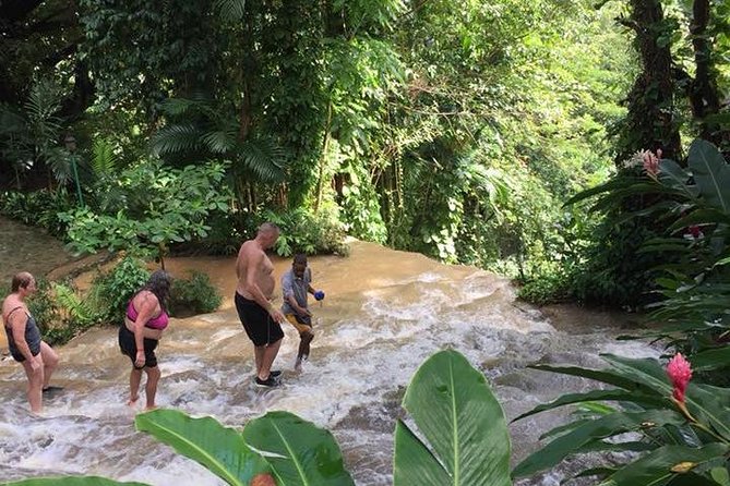Shared Konoko Falls and Tropical Garden Tour From Runaway Bay - Booking Information and Cancellation Policy