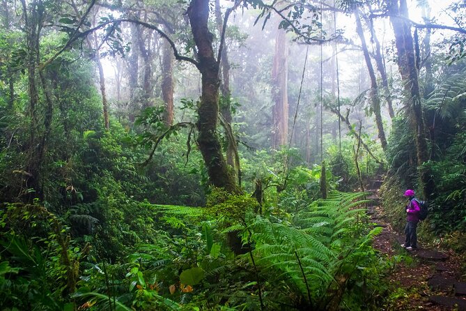 Shared Shuttle San Jose to Monteverde - Likely to Sell Out