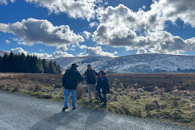 Sheepdogs in the Countryside, Authentic Dubliners City Tour Combo - Tour Inclusions and Amenities