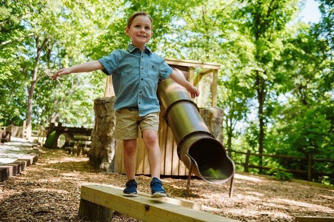 Shepherd's Adventure Park - Visitor Experiences