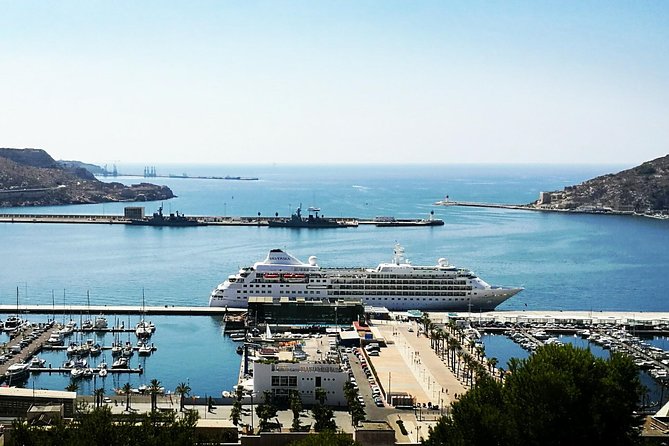 Shore Excursion: Cartagena Half-Day Private Tour - Inclusions and Logistics