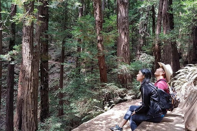Shore Excursion: Guided Tour to Muir Woods With Roundtrip Journey - Accessibility Options
