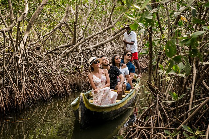 Shore Excursion Mangroves Tour - Inclusions and Meeting Details