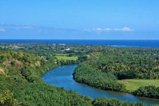 Shore Excursion: Wailua River and Luau Cruise With Polynesian Dinner and Drinks - Booking and Logistics