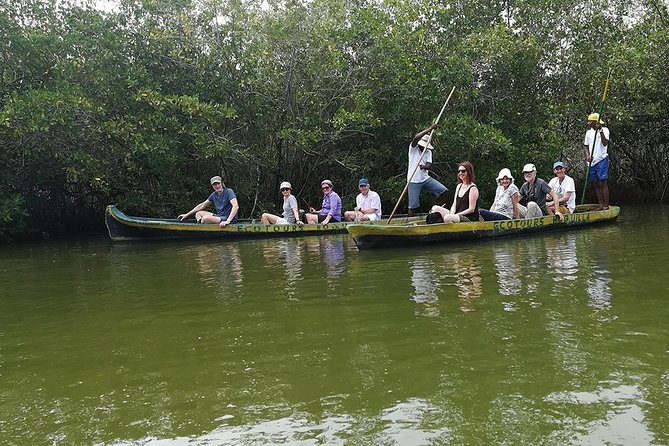 Shore Mangrove Tour + Lunch + Horse Riding + Fishing Classes - Pricing and Cancellation Policy
