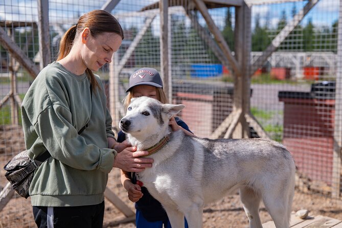 Short Norrbotten County Huskies Visit  - Kiruna - What to Expect During the Visit