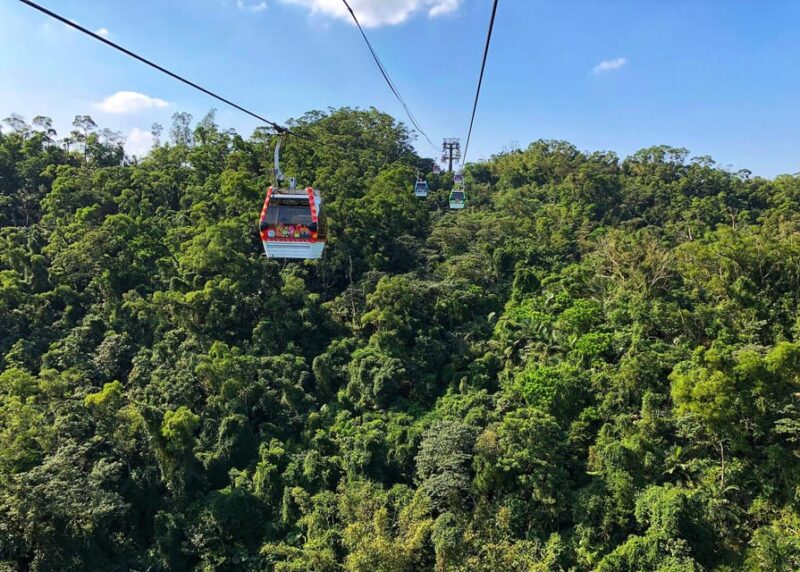 Sip & Savor: 🚠 Maokong Tea & Shenkeng Tofu Private Day Tour - Maokong Mountain Experience
