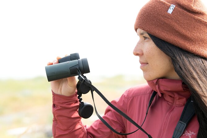 Skagit Valley Birding + Deception Pass Day Tour From Seattle - What to Expect