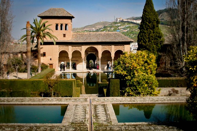 Skip the Line: Alhambra Palace and Generalife Gardens Private Guided Tour - Visiting the Nasrid Palaces