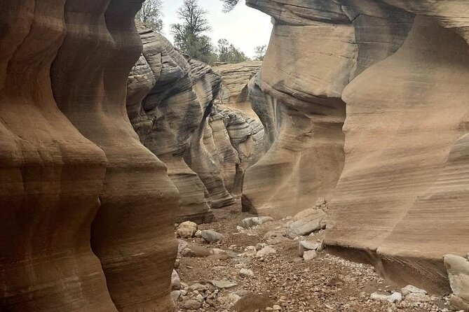 Slot Canyon 2hr Tour at Willis Creek - Physical Requirements and Accessibility