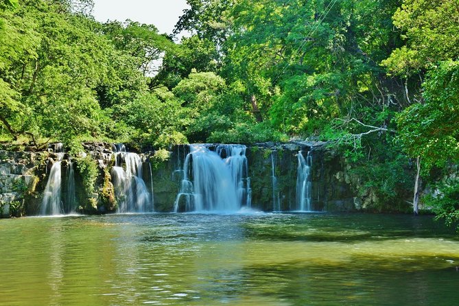 Sloth Adventure From Guanacaste - Spotting Sloths and Wildlife
