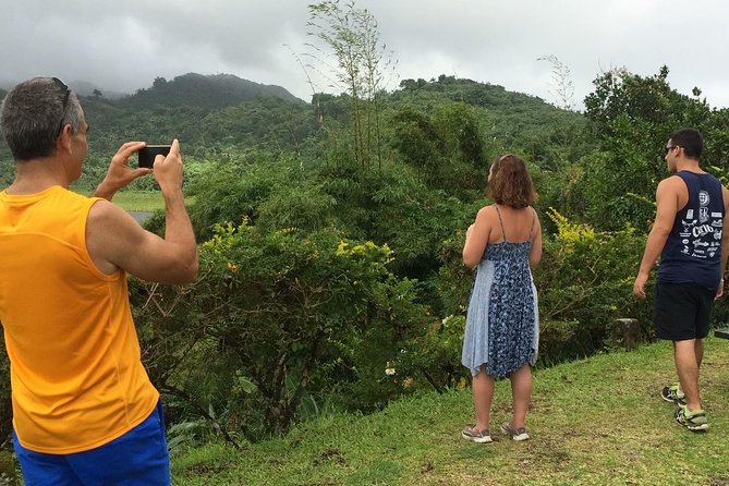 Small-Group Adventure Trek in Grand Etang National Park - Tour Inclusions