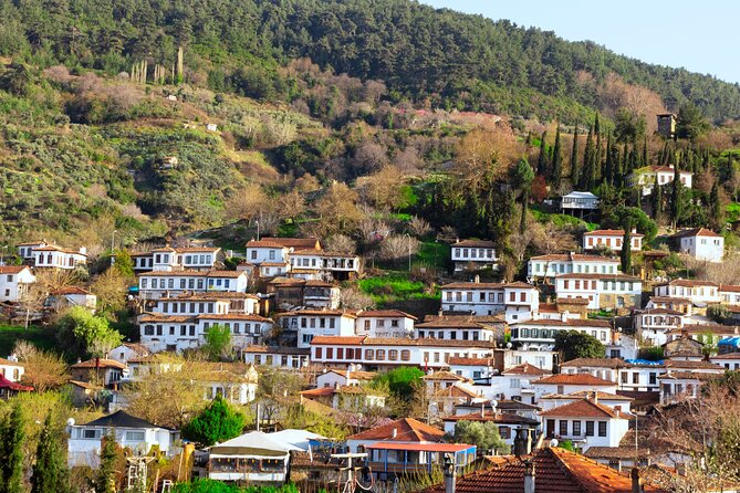 Small Group Ephesus & Sirince Village Tour From Kusadasi / Selcuk Hotels - Pickup and Logistics