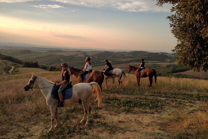 Small-Group Horseback Tour of Tuscany  - Siena - Rider Safety and Fitness