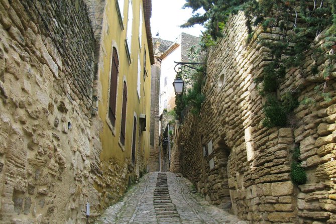 Small Group Marseille Shore Excursion: Luberon Villages Tour - Customer Feedback and Service
