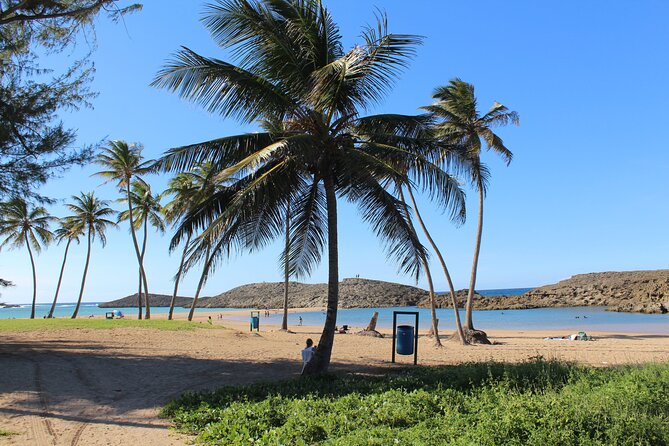 Small-Group North Coast Beach Hopping Adventure in Puerto Rico - Accessibility and Participation