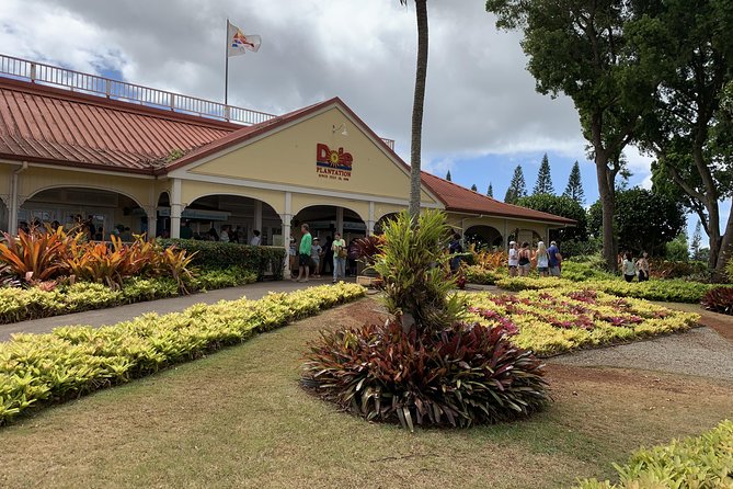Small Group-Oahu Tour, Dole Plantation, Northshore, Sunset Beach - Accessibility Information
