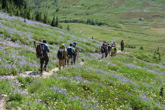 Small Group Tour in Mt Rainier With Air-Conditioned Van Transfer - Inclusions