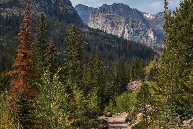 Smartphone Audio Driving Tour Between Lake Louise and Revelstoke - Tour Features and Inclusions