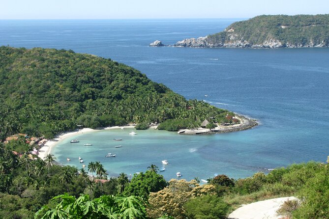 Snorkel Tour in Las Gatas Water Break - Dining Experience