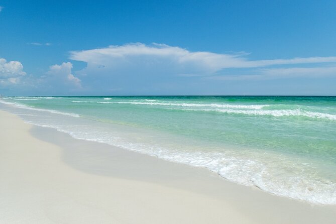 Snorkeling and Dolphin Watching Experience in Destin - Suggestions for Improvement