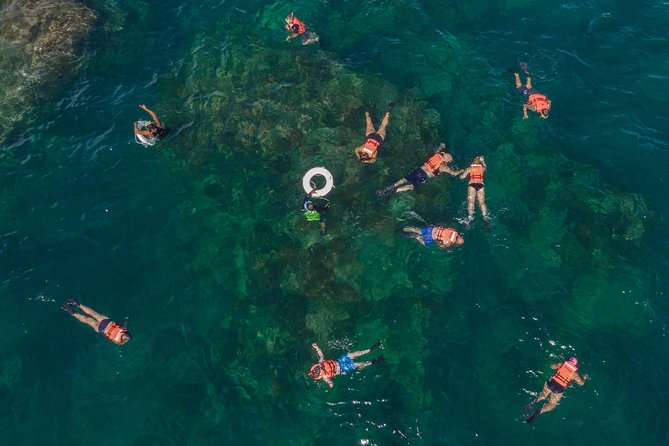 Snorkeling Tour in Cabo San Lucas - Tour Highlights