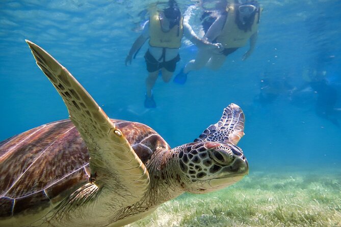 Snorkeling With Turtles and Cenote Tour From Riviera Maya - Participant Restrictions