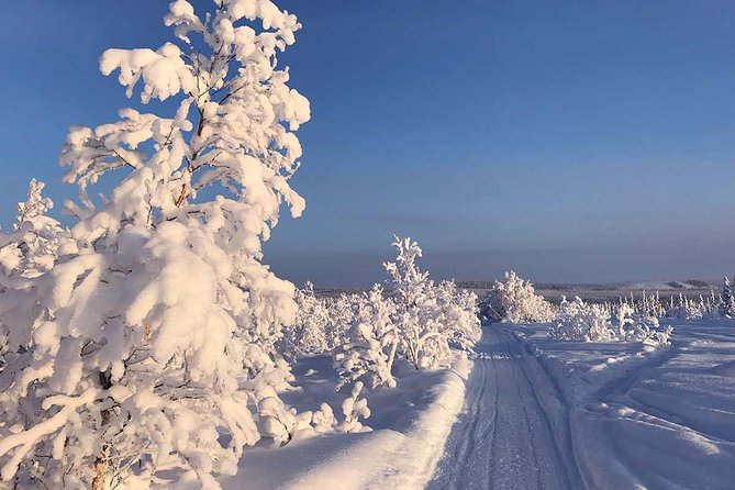 Snowmobile Exclusive Tour - Booking Details