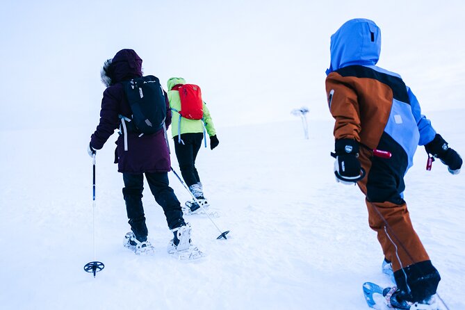 Snowshoe Adventure in Saariselkä - Guided Experience Highlights