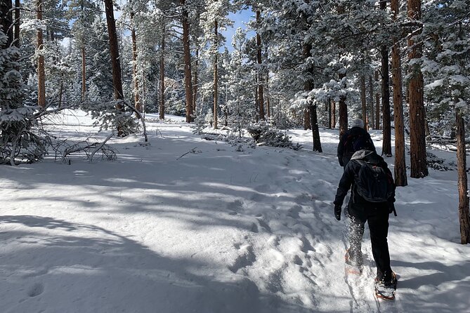 Snowshoeing Adventure in the Rocky Mountains Close to Denver - What to Bring