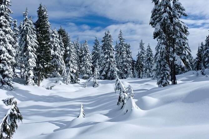 Snowshoeing In Vancouvers Winter Wonderland - Health and Safety Guidelines