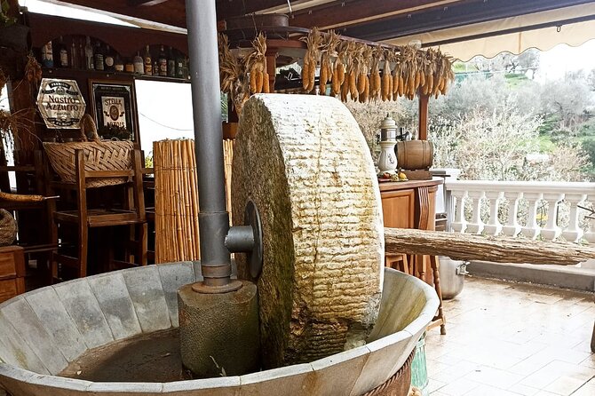 Sorrento: Gastronomic Tour by E-Bike and Visit to Acetaia - Booking and Cancellation Policy