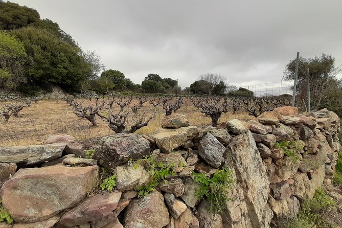Sougia-Armos-Maza Hike Adventure - Difficulty and Fitness Level